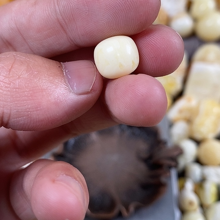 琥珀裸石未镶嵌我