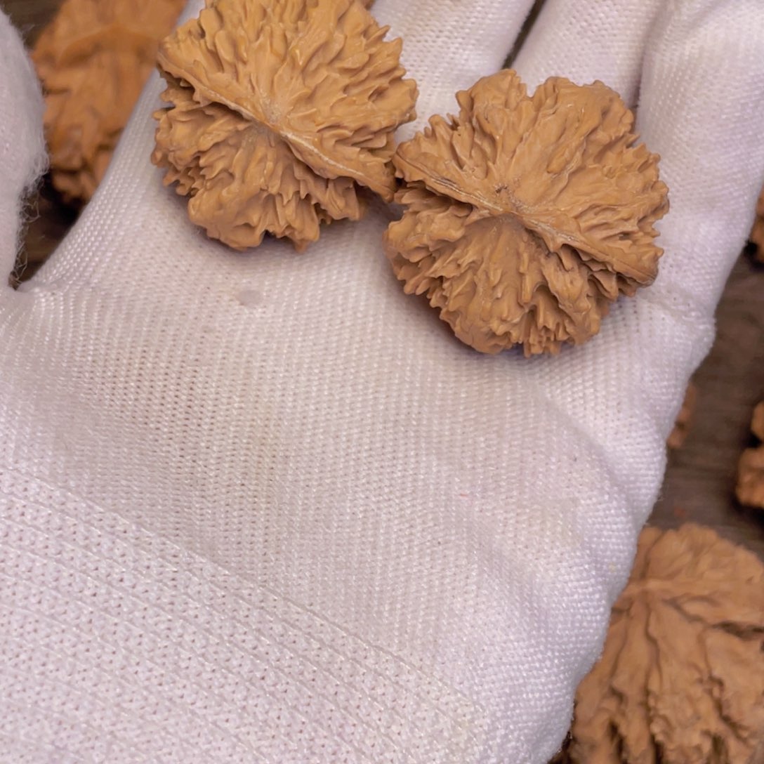 文玩核桃吊坠9秦岭灯笼野生小众