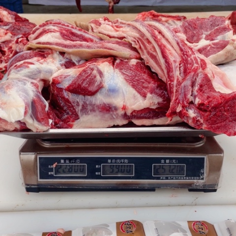 【闪购商品】冷冻保存30天包装河北省从**哪