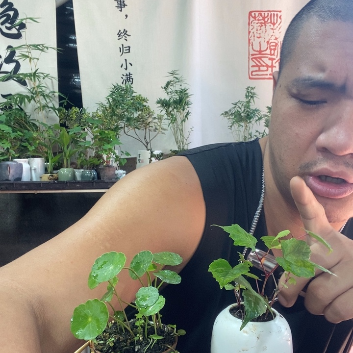 无花朵退款拉黑拉黑187