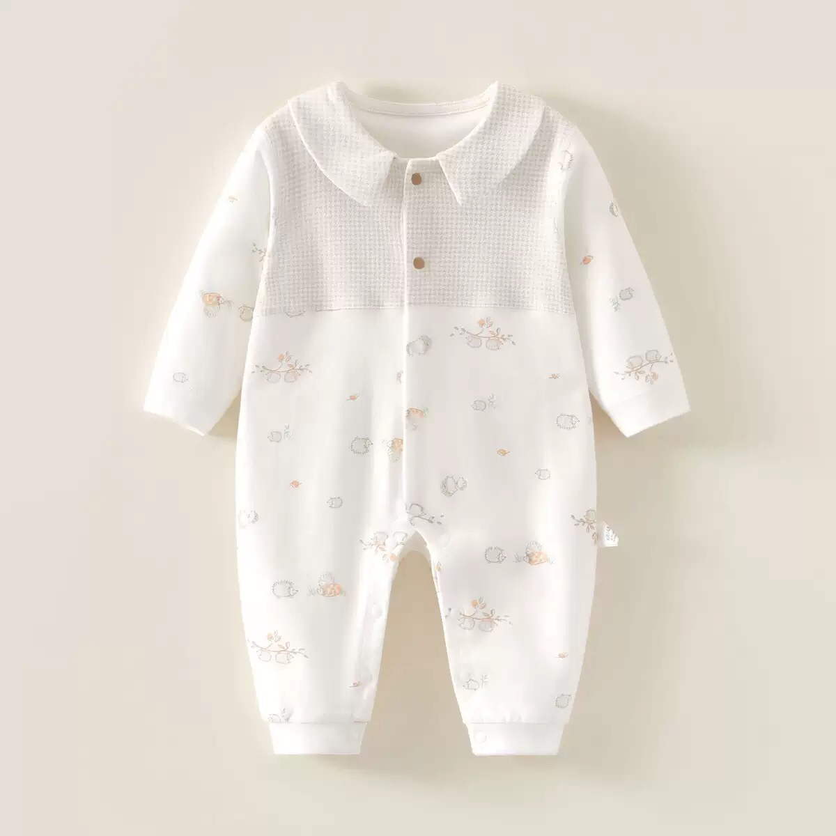 秋款长爬分体直播链接