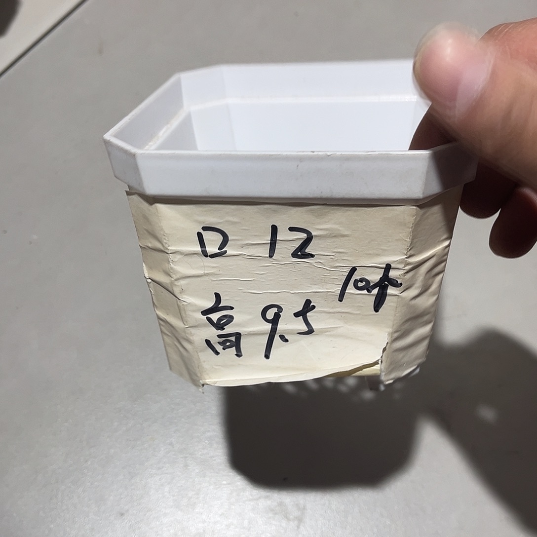 加厚斜角口12高9.5白盆10个无托