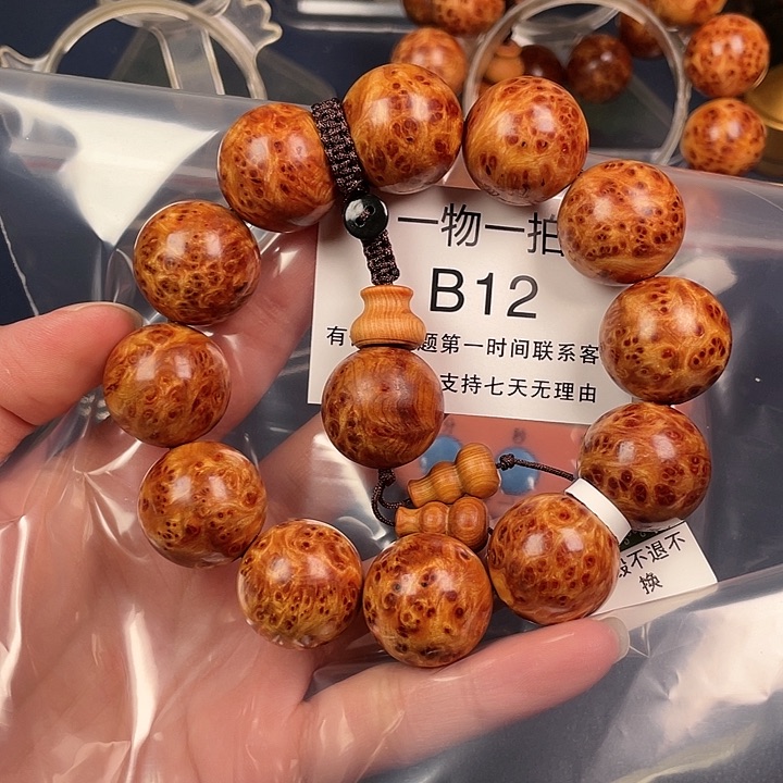 柏木（崖柏）其他大*12