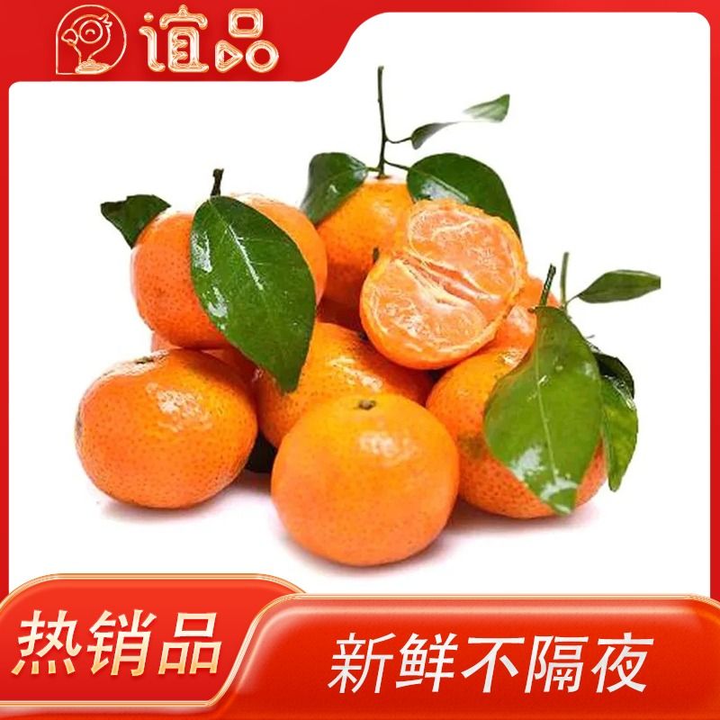 砂糖橘300g（甘甜多汁）【特惠】