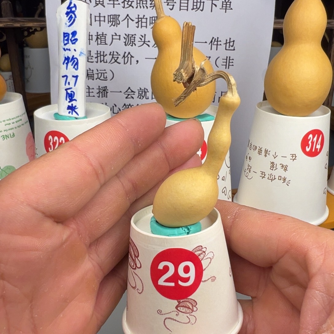 闪电购自助下单编号29