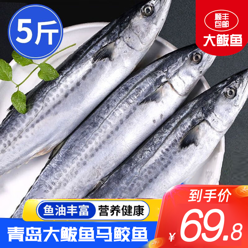 5斤鲜活大鲅鱼新鲜马鲛鱼大整条冷冻海捕深海鱼海鲜水产批发