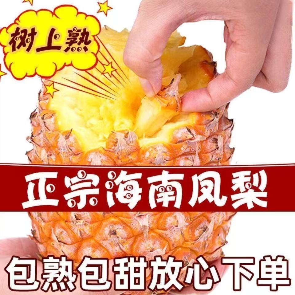 【树上熟】正宗17号海南金钻凤梨皮薄多汁孕妇新鲜现摘菠萝应季水果商品图