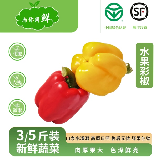 （灯笼彩椒）新鲜现摘水果彩椒甜椒灯笼椒生吃不辣红黄圆椒