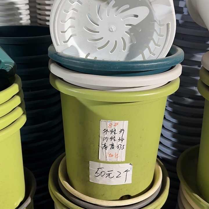 四季8#口径39果绿5个无托