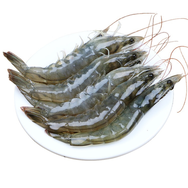 5斤整盒海虾12-15厘米/只，15-20只/斤，薄碎冰锁鲜介意勿拍
