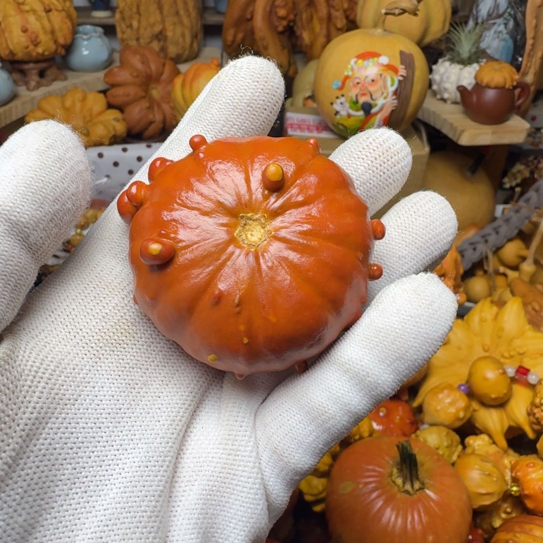 A*特价葫芦不退不换