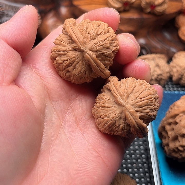 桃核把件伤***.核桃白狮子