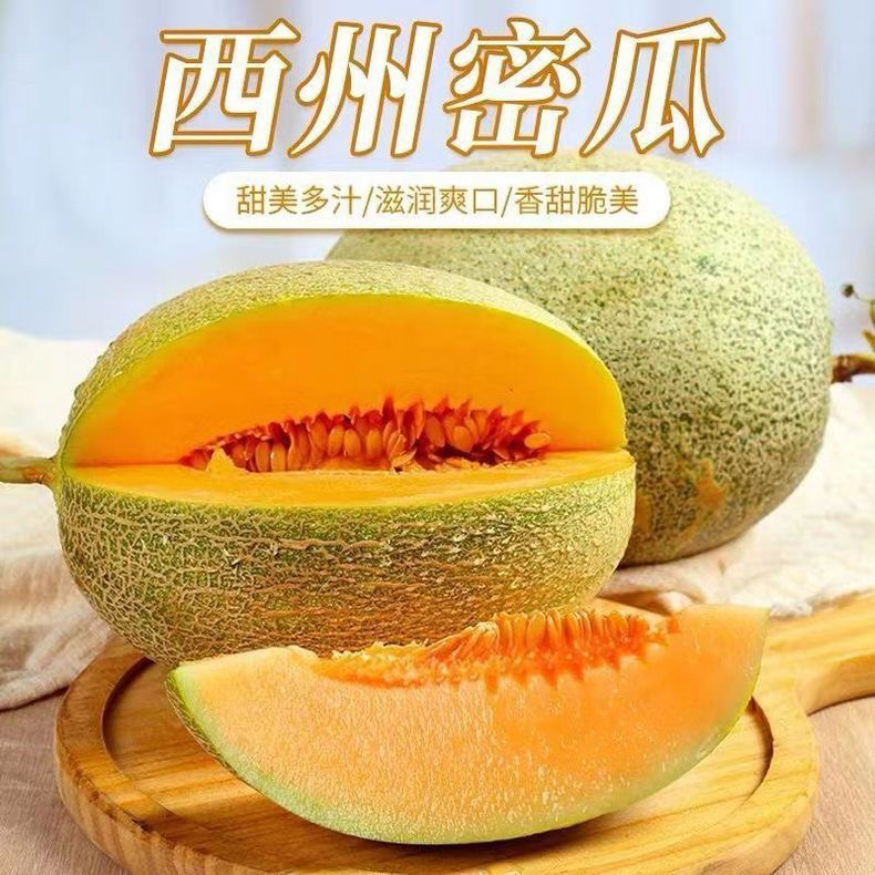 新疆吐鲁番正宗火焰哈密瓜西州25号清脆甘甜只卖净重限量500单