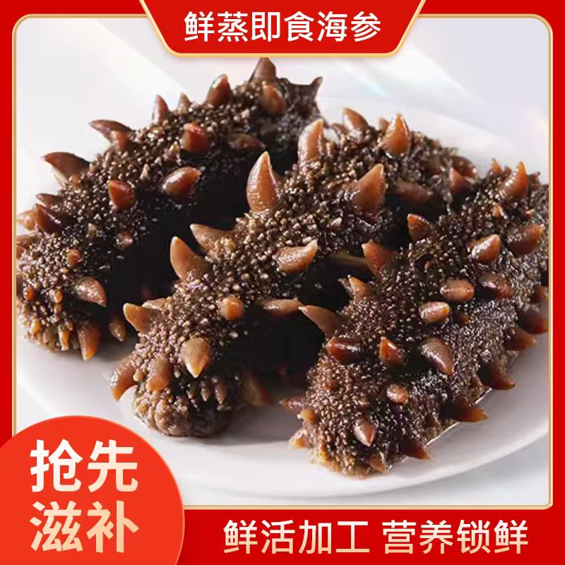 海参12-20头鲜食海参营养新冷冻食用冷链直发冷冻保存
