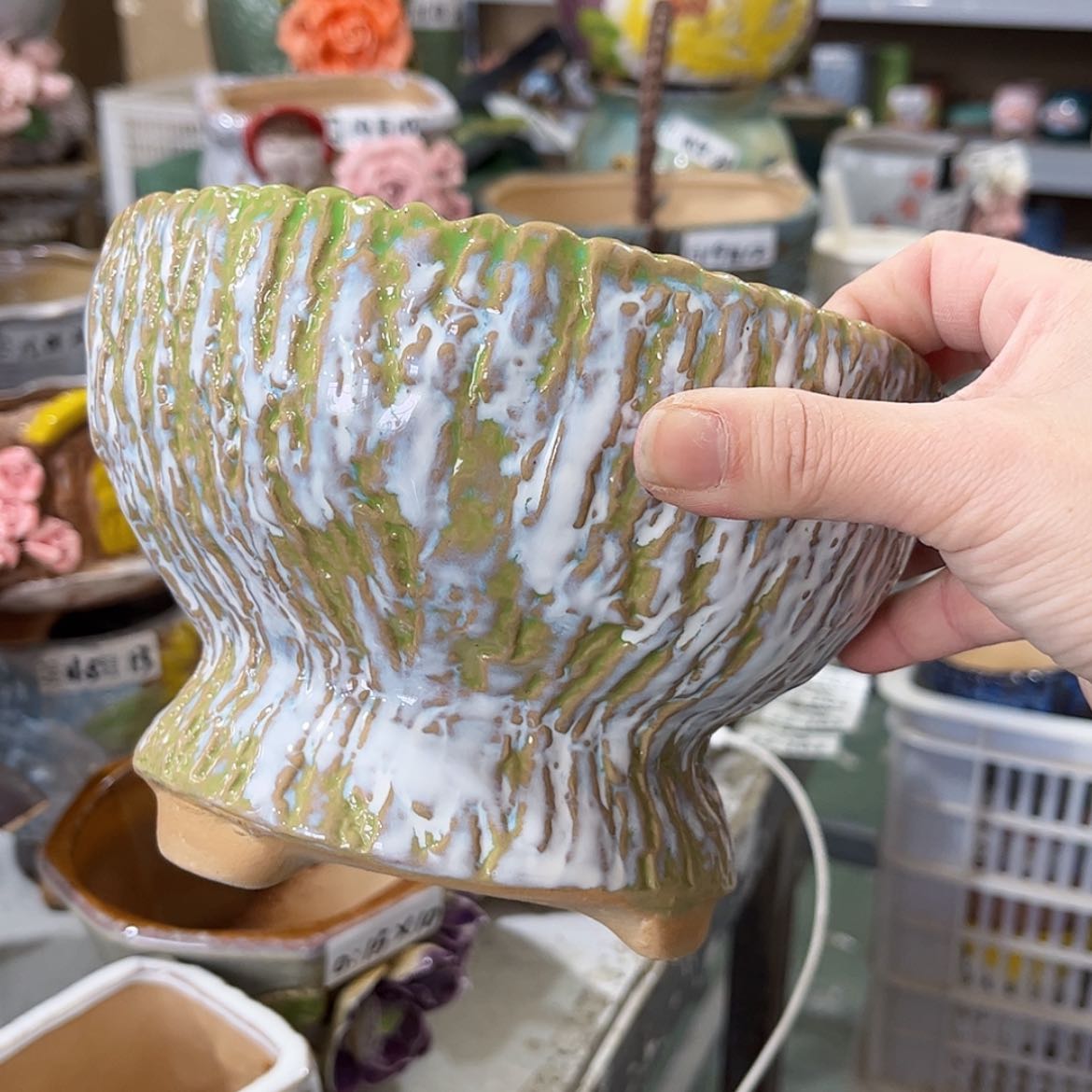 【闪购商品】红陶福利