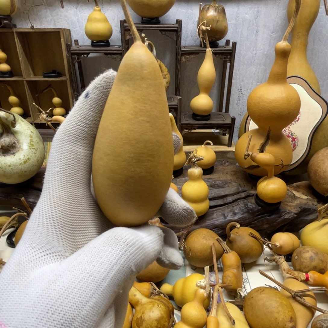 谁***茫葫芦葫芦葫芦葫芦