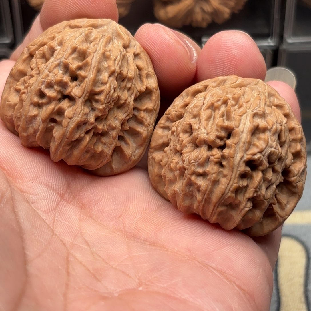 文玩核桃把件白狮子