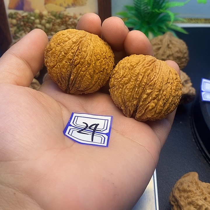 把件文玩核桃40猴头