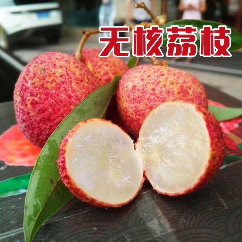 【正宗荔枝树苗】盆栽地栽阳台庭院种植无核 荔枝苗果树苗