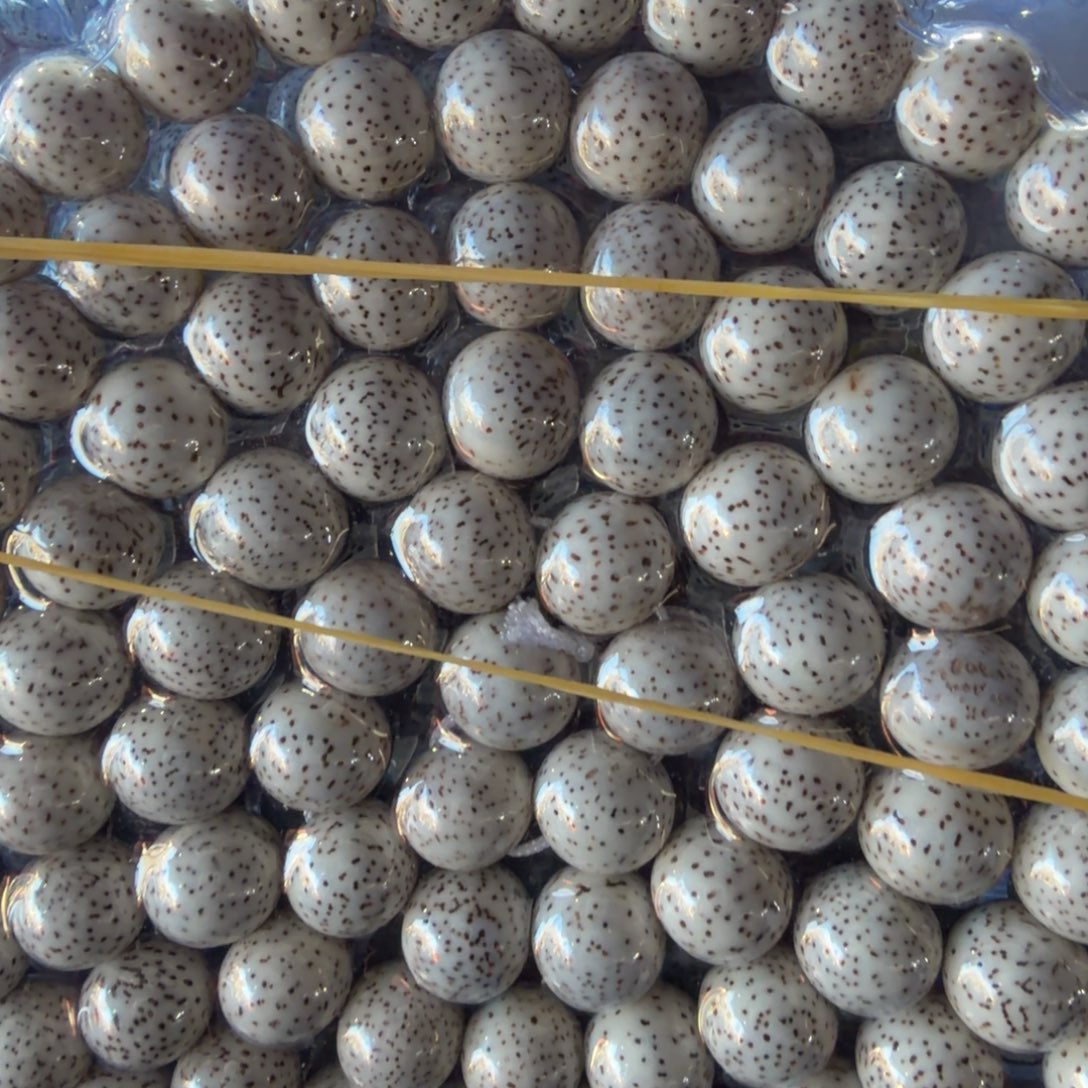 手串星月菩提圆珠