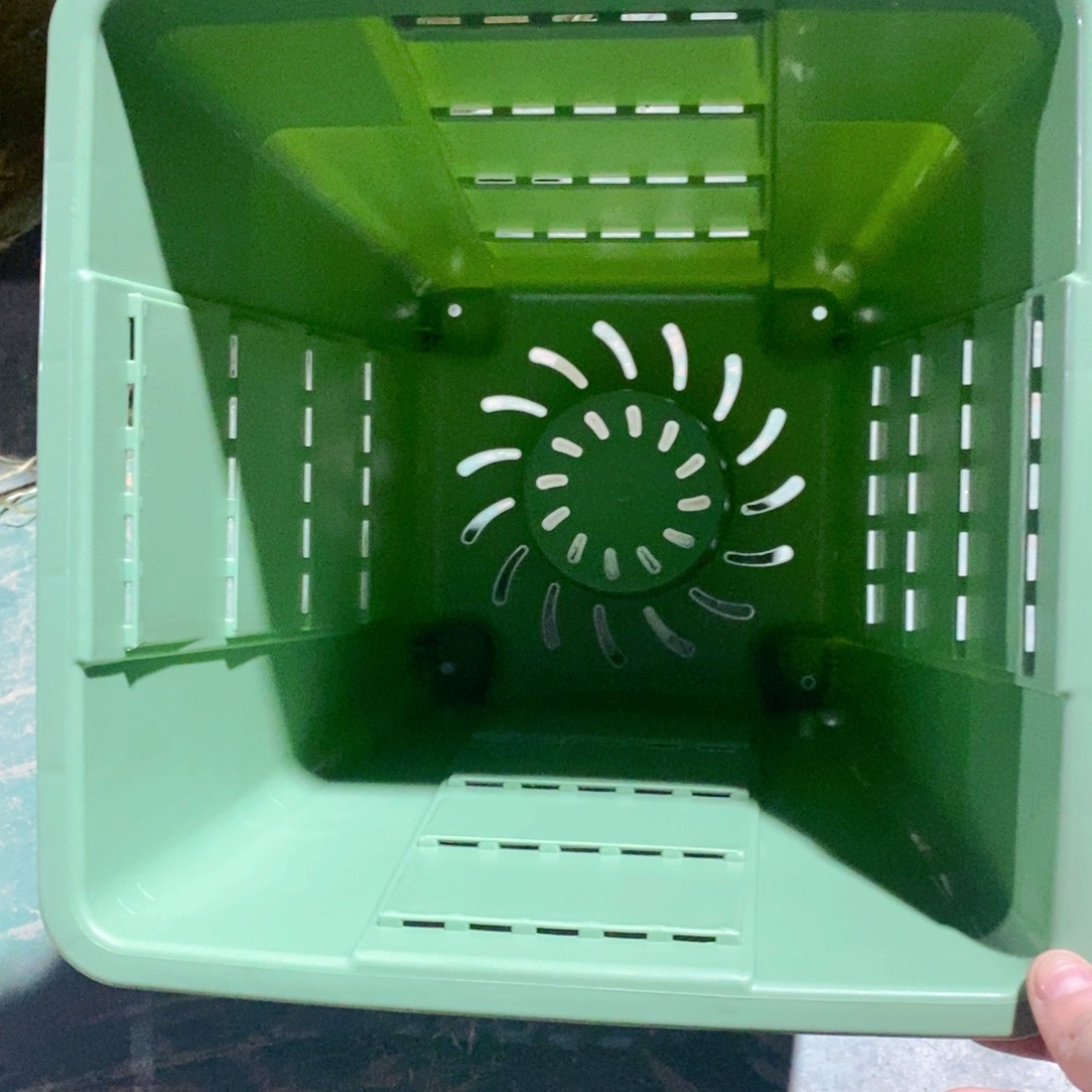 方4号5个无拖果绿