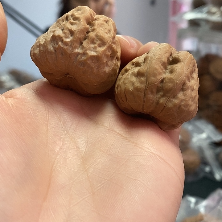 把件文玩核桃34.5蛤蟆头龟背