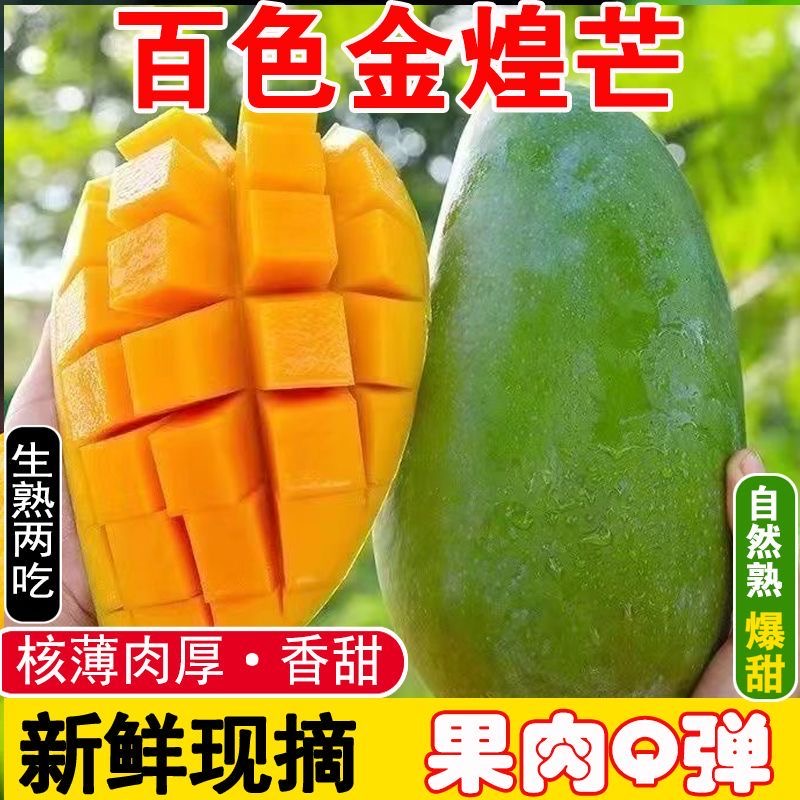 正宗广西百色青皮金煌芒新鲜应季水果核薄肉厚香甜400g