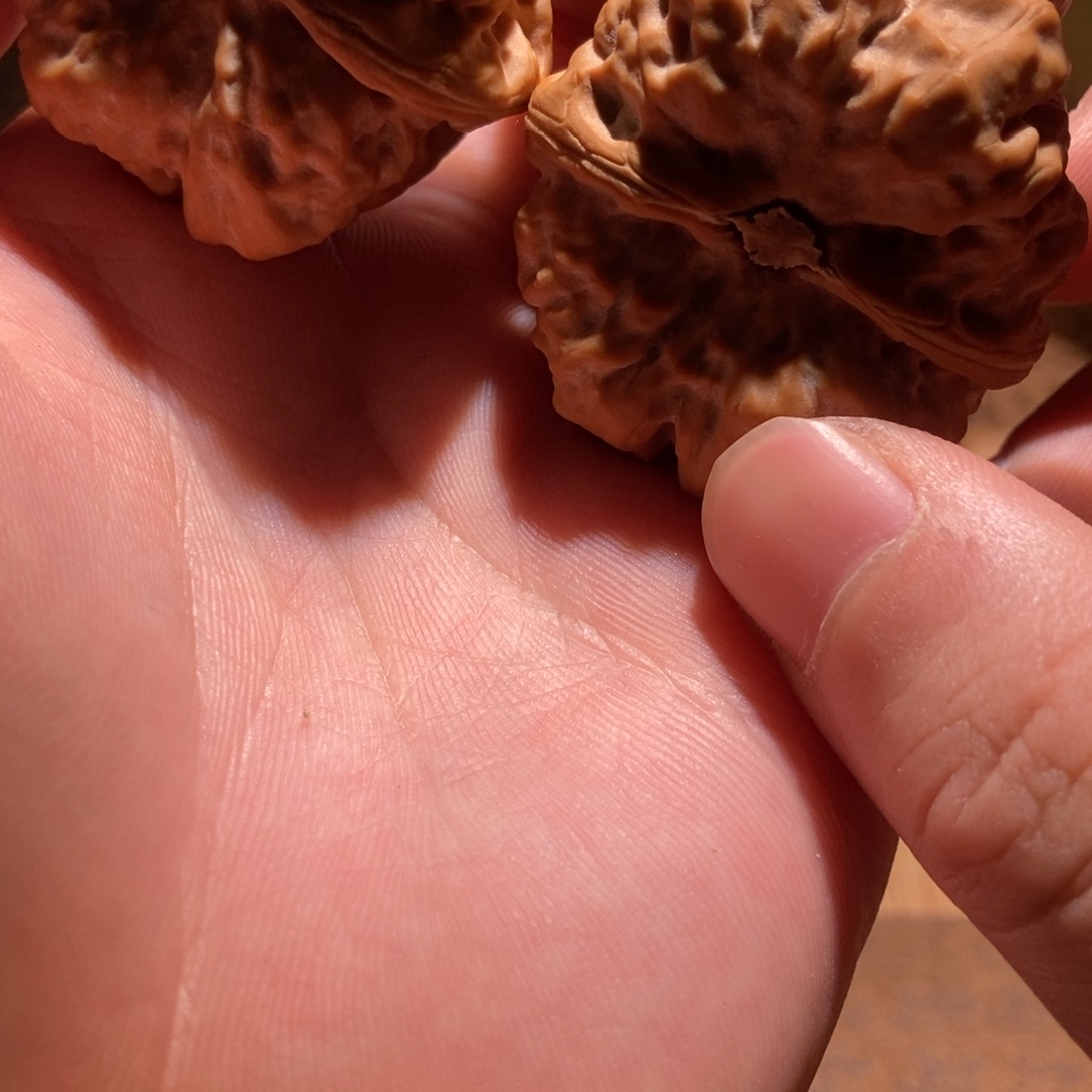 云***雀文玩核桃吊坠蛤蟆头D12