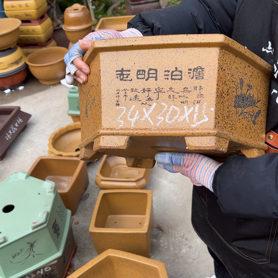 紫砂花盆盆景艺术