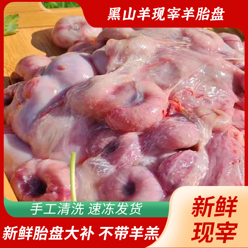 高山纯放养黑山羊胎盘