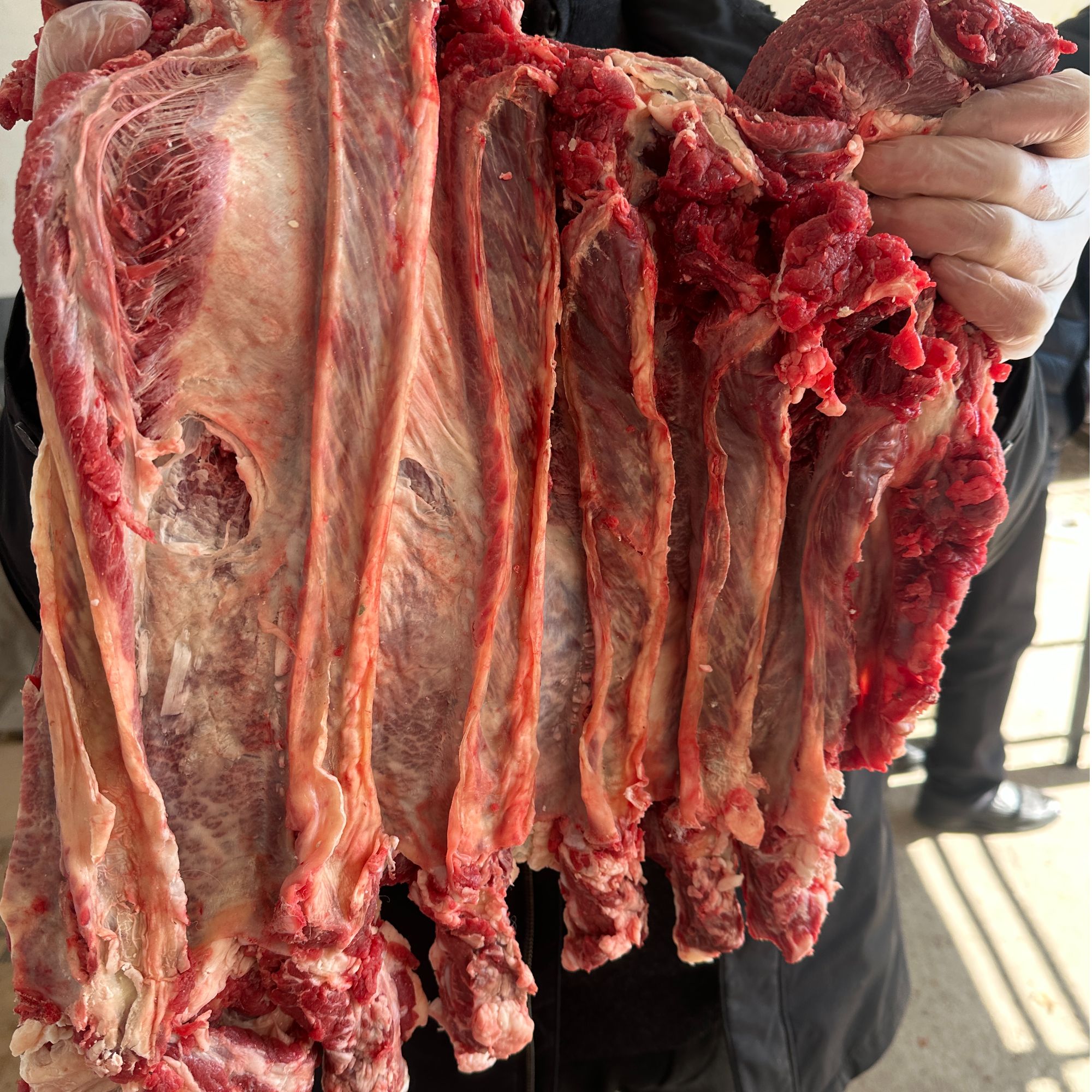 【牛肋条肉】正宗小黄牛谷饲喂养