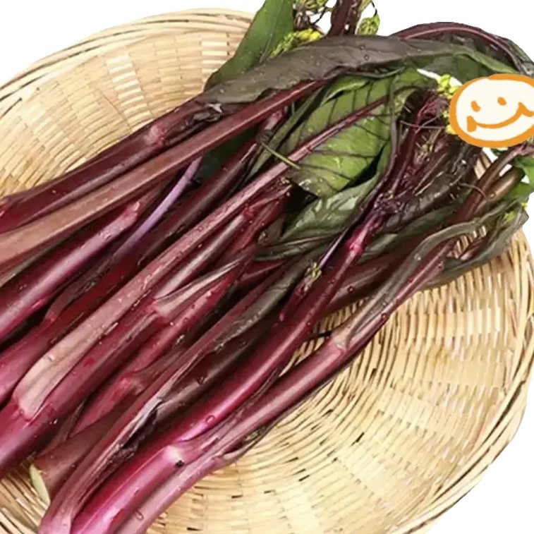 湖北红菜苔农家自种露天现摘新鲜紫菜苔红子菜红菜心油菜苔