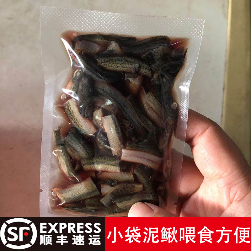 冷冻鱼食泥鳅段小包装鱼饲料冷冻虾麦穗鱼去粘液泥鳅