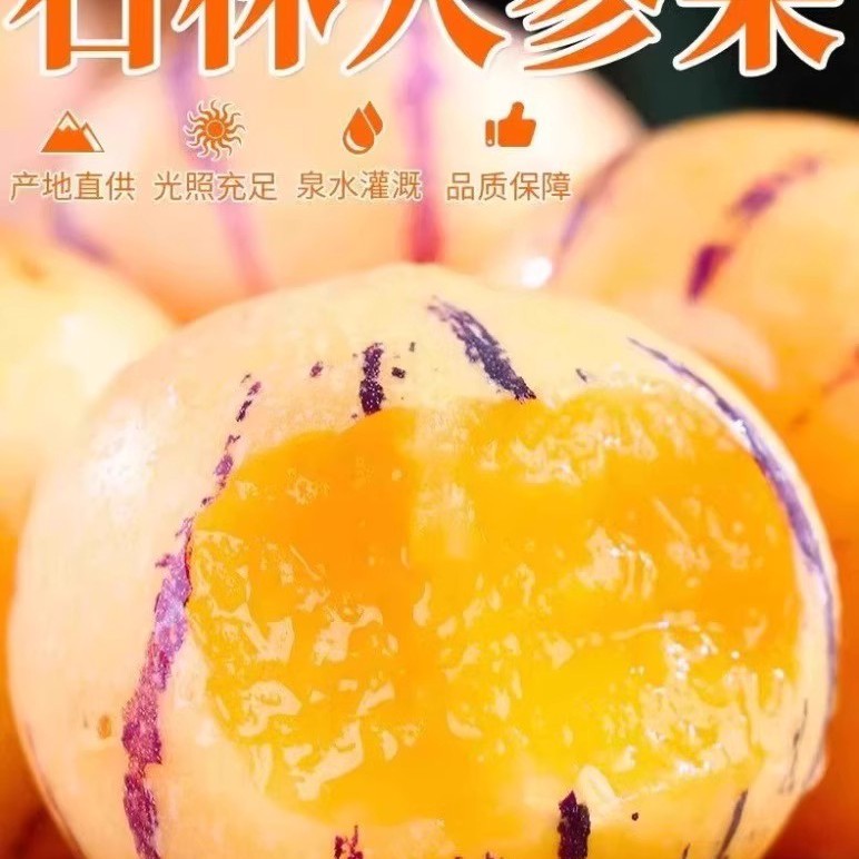正宗云南石林人参果新鲜圆果黄心树熟清甜多汁应季水果孕妇果大果