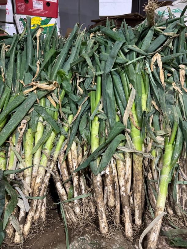 【众旺农场】大葱 5斤有粗有细大葱 带泥土发货 毛葱发货