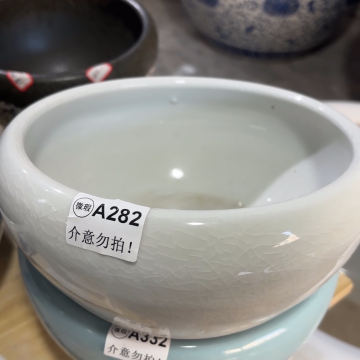 白冰裂口径24高度13