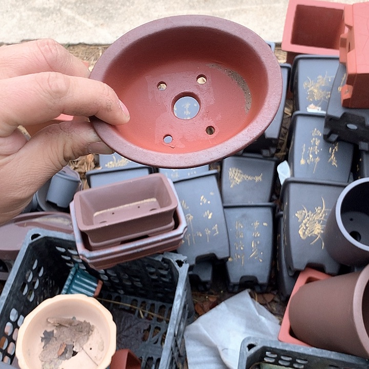 紫砂淘宝的朋友也要抓紧