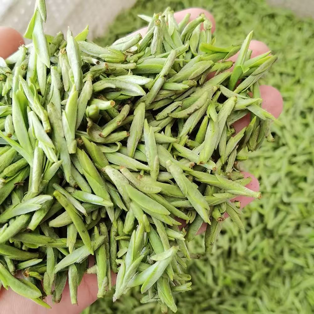 2025新茶 头采单芽子弹头  豆香型