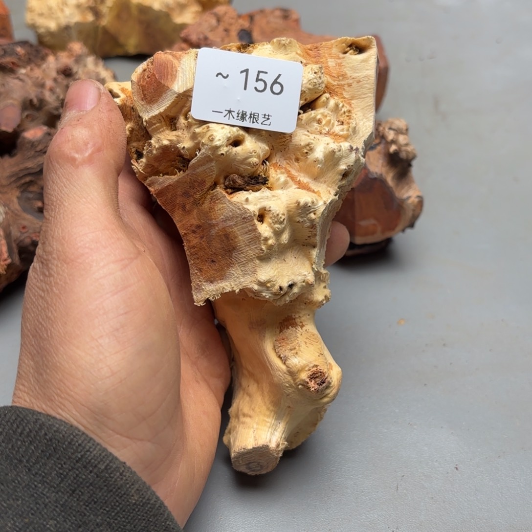 *****无花朵          1156