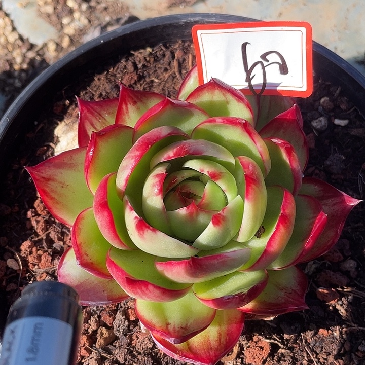 60//////////://///:/