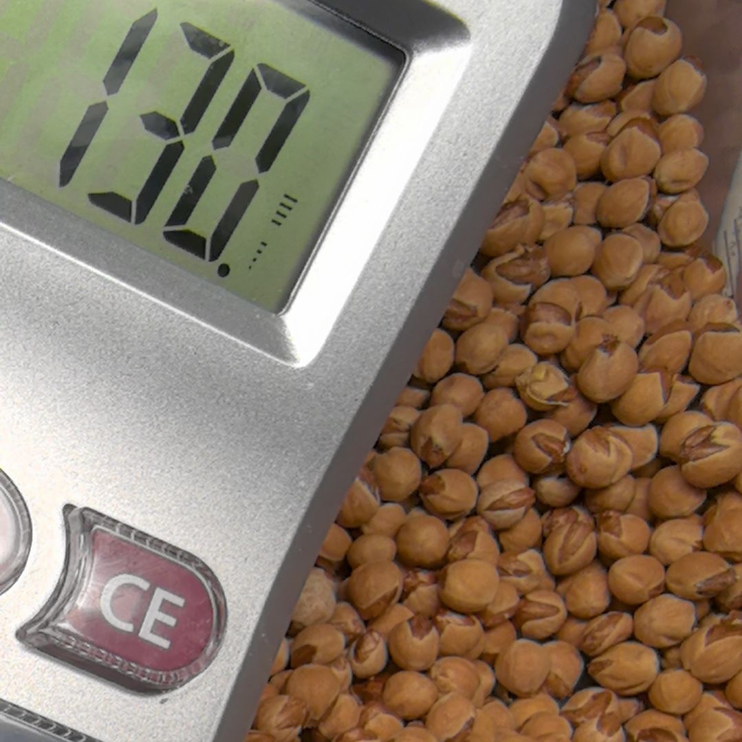 唐***龍柏香籽/百香籽手串