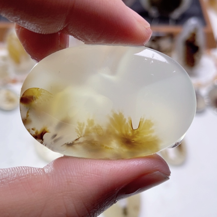 【闪购商品】玛瑙/玉髓颈饰未镶嵌