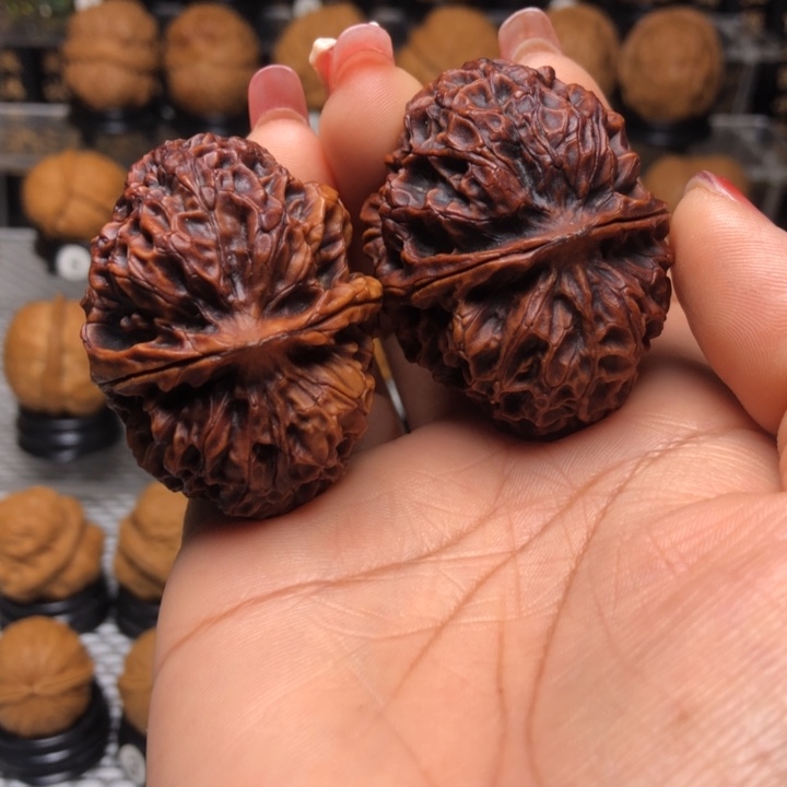 橄榄核把件14紫金龙甲