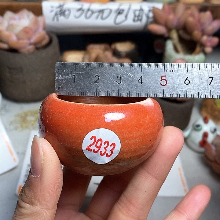 红陶拍5送一个小