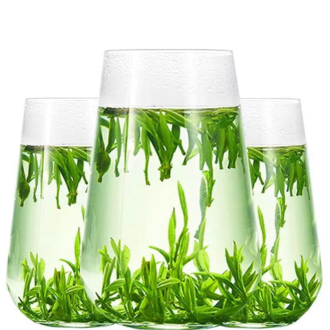 2025新茶雀舌绿茶茶叶罐装