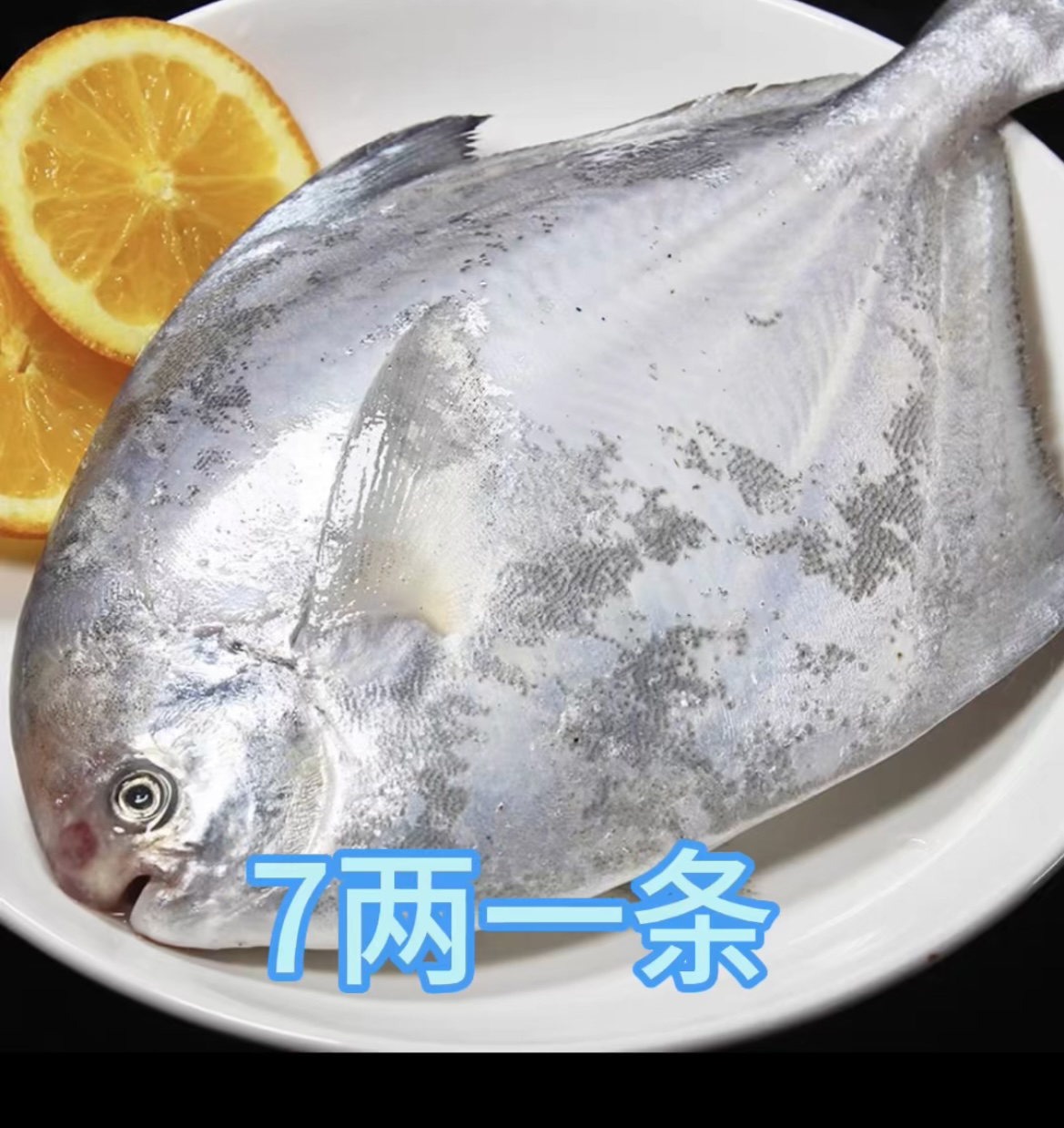 新鲜 特大7两一条银鲳鱼（6条）顺丰包邮液氮锁鲜发货
