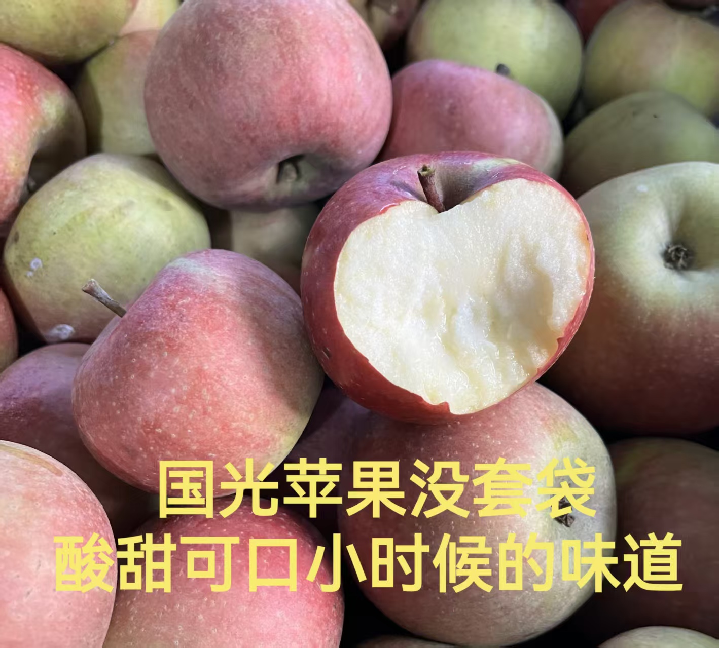 正宗东北老树不套袋小国光苹果 酸甜可口 儿时的味道  青红混装