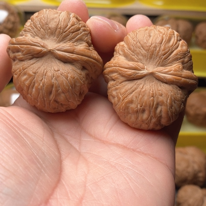 文玩核桃把件M****洋元宝