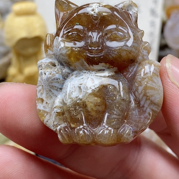 颈饰未镶嵌硅化珊瑚（珊瑚玉）有瑕