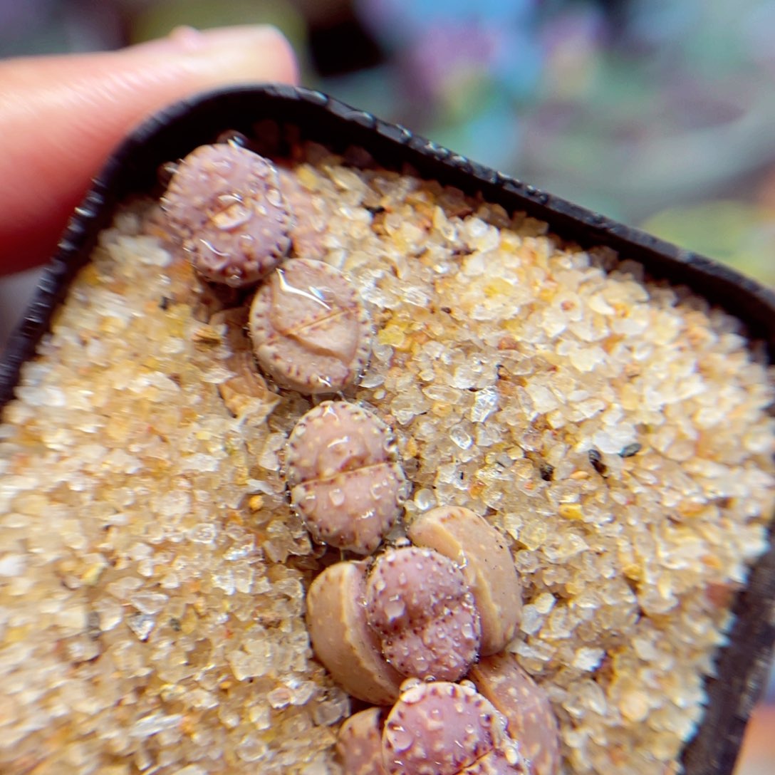 103。 888888888888888888